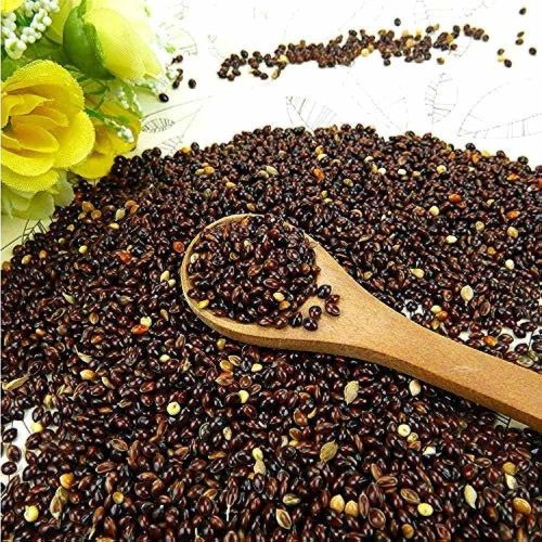 Black Millet