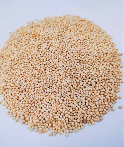 Imported White Millet