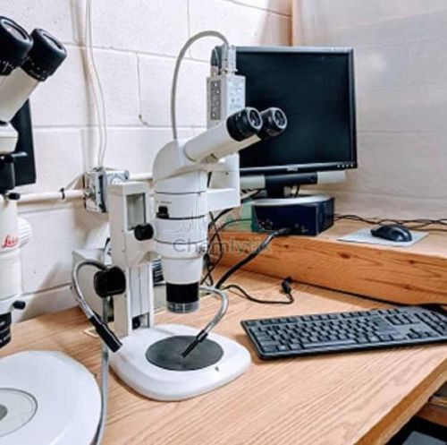 Tem Analysis Service