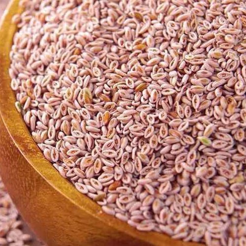 Psyllium Husk Seed