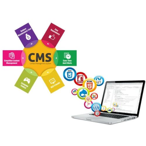 CMS Website Development Services