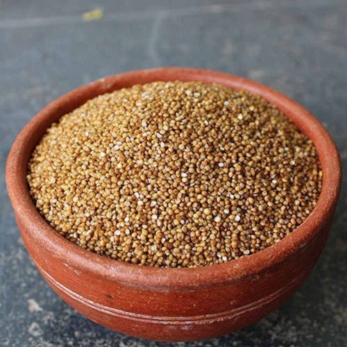 Natural Foxtail Millet
