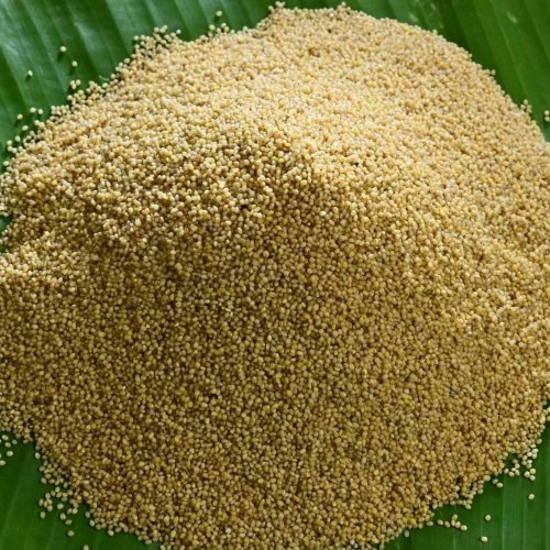 Natural Little Millet