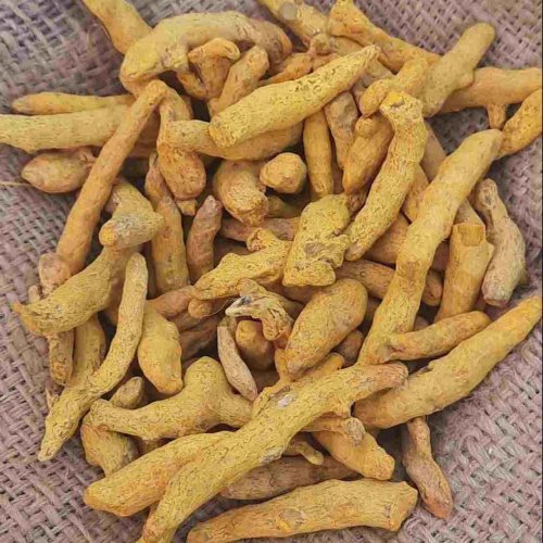 Turmeric Finger
