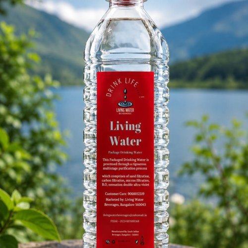 300 Ml Living Water Alkaline Hydrogen Drinking Water Bottle