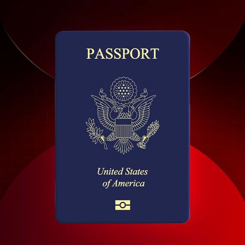 USA L1 Visa Services