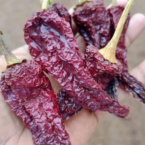 Kashmiri Dried Red Chilli