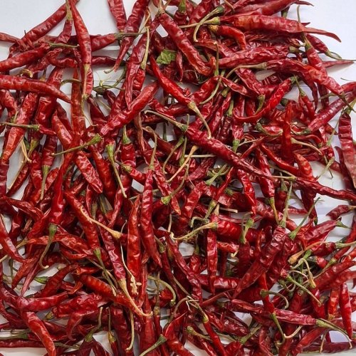 Teja Dried Red Chilli
