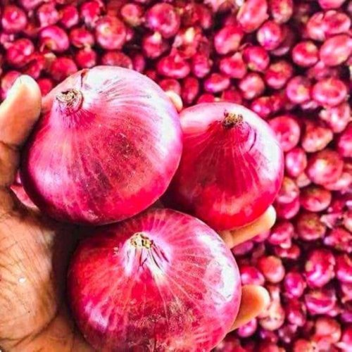 A Grade Fresh Pink Onion