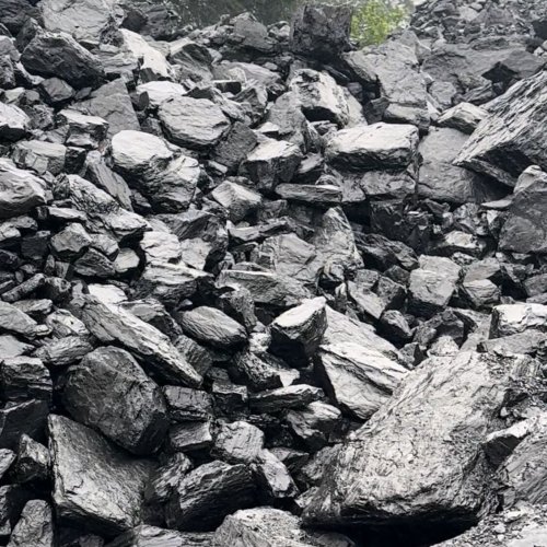 G7 Steam Coal
