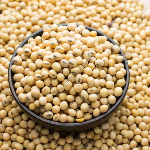 Natural Soybean Seeds