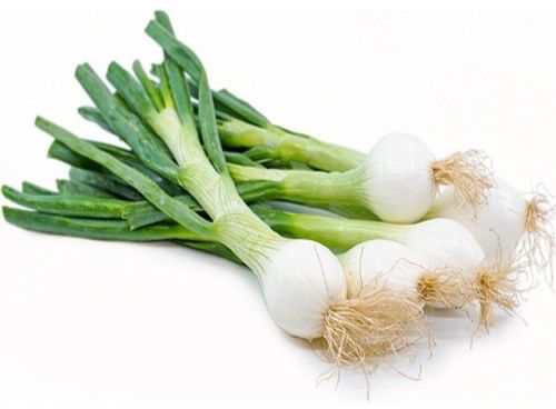 Fresh Spring Onion