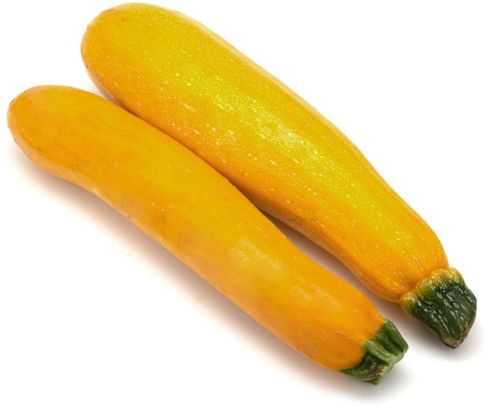 Fresh Yellow Zucchini