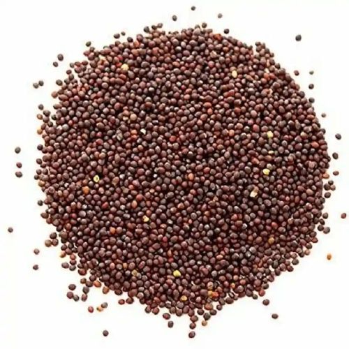 Brown Mustard Seeds