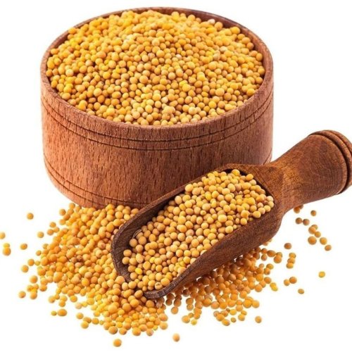 Yellow Mustard Seeds