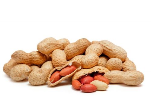 Handpicked Peanuts