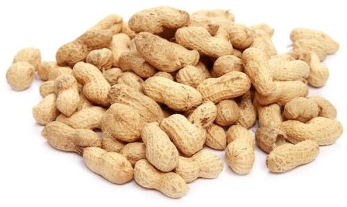 Natural Shelled Peanuts