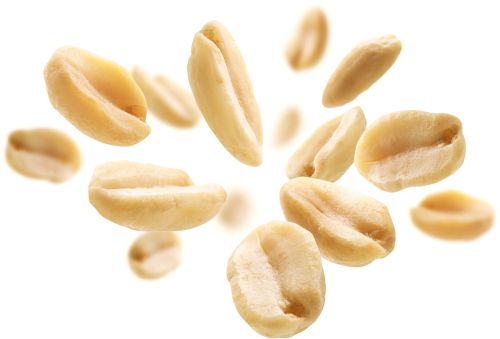 Processed Split Peanuts