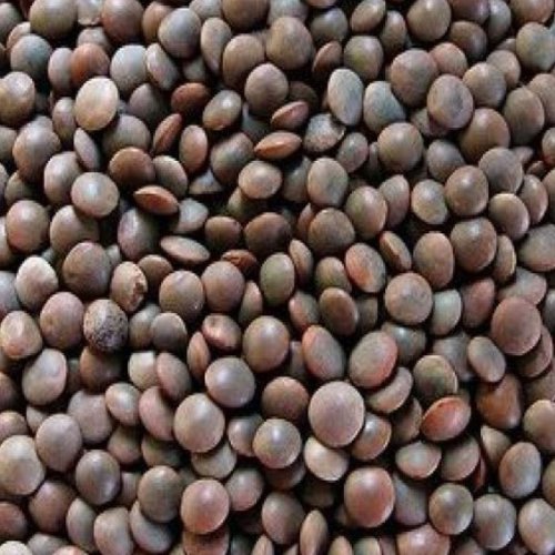 Black Masoor Dal