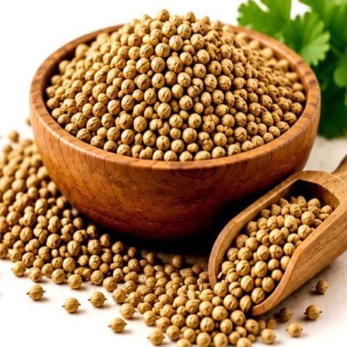 Organic Coriander Seeds