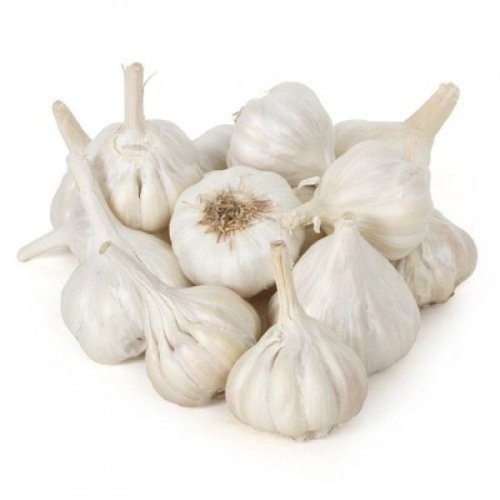 Fresh White Garlic