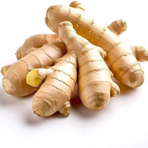 Fresh Ginger Root