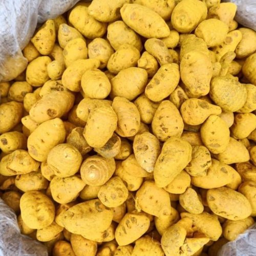 Organic Premium Turmeric
