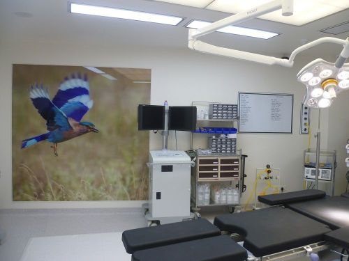 Modular Operation Theatre