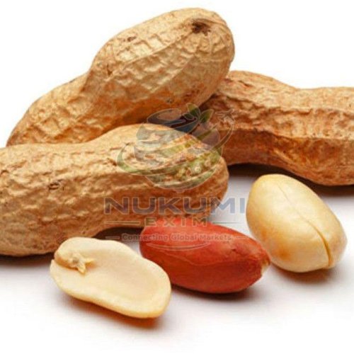 A Grade Raw Groundnuts with Shell