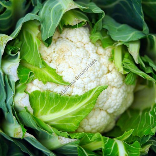 Cauliflower Cauliflower