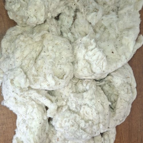 Cotton Dropping Waste