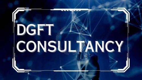 DGFT License Consulting Service