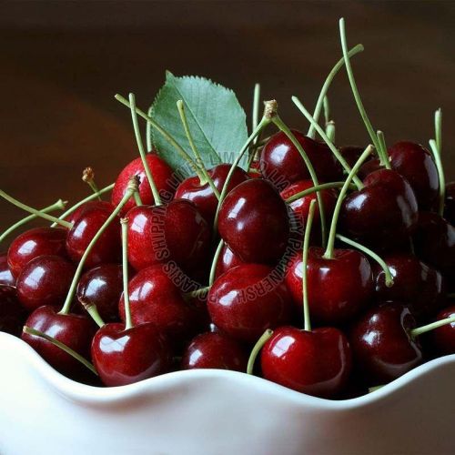 Fresh Cherry