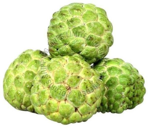 Fresh Custard Apple