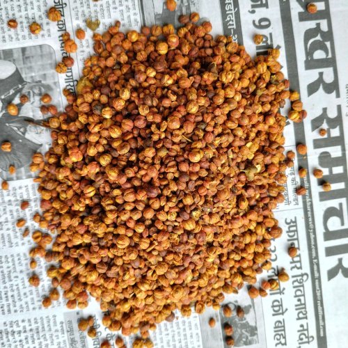 Malkangni