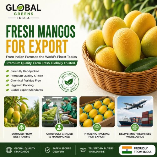 Alphanso Mangoes