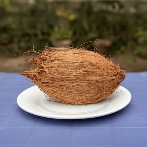 A Grade Brown Coconut