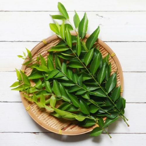 Fresh Curry Leaves
