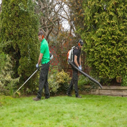 Garden Lawn Maintenance Services
