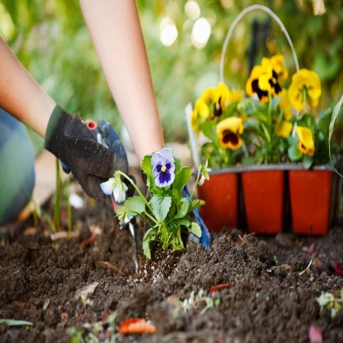 Plantation Work Service