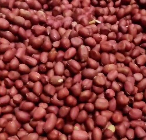 Peanut