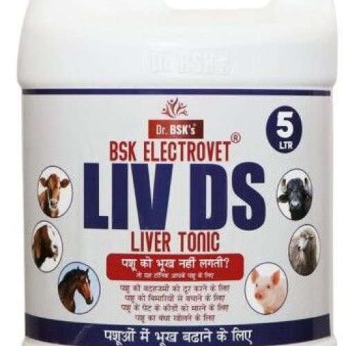 DR. Bsk Electrovet Liv DS Liver Tonic