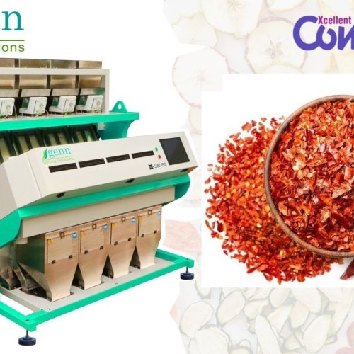 Chilli Cutter Color Sorter Machine