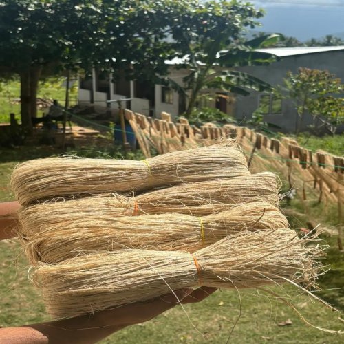 Banana Fiber