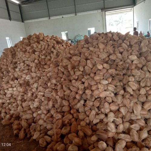Brown Coconut