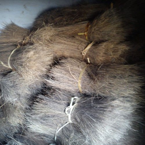 Palm Fibre