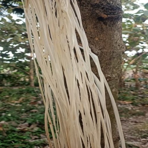 Poove Banana Fiber