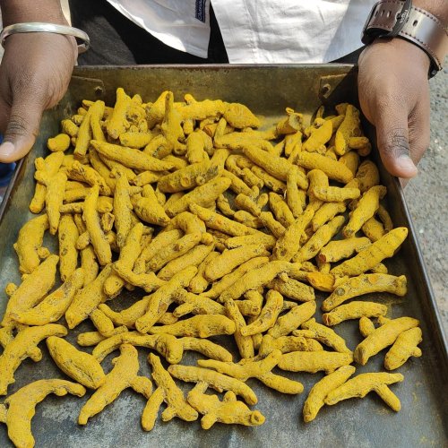Turmeric Finger