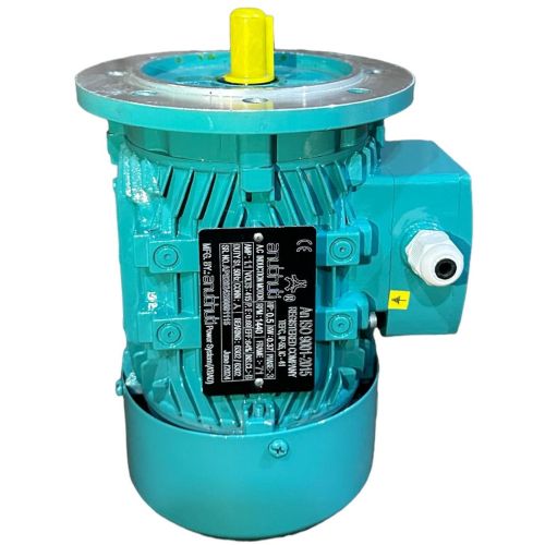 3 Phase Flange Mounted Motor