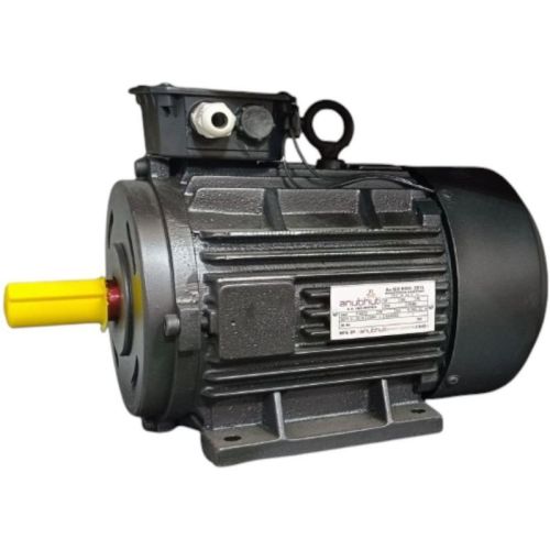 3 Phase Foot Mounted Induction Motor